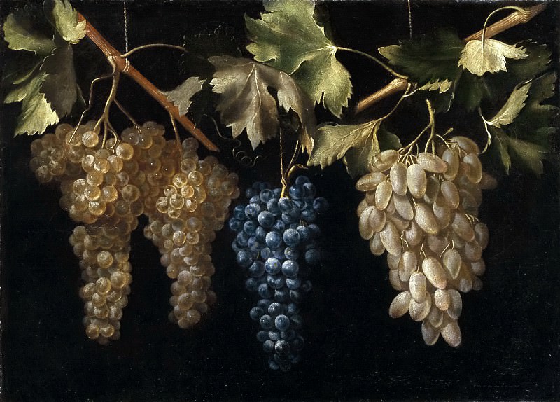 Fernández el Labrador, Juan -- Cuatro racimos de uvas colgando. Part 6 Prado Museum