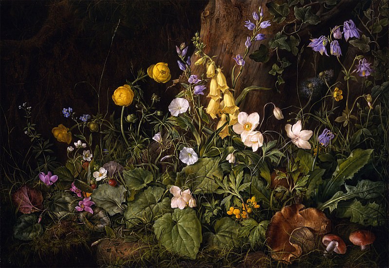FRANZ XAVIER PETTER Wildflowers and mushrooms in a woodland setting 29677 172. часть 2 - европейского искусства Европейская живопись