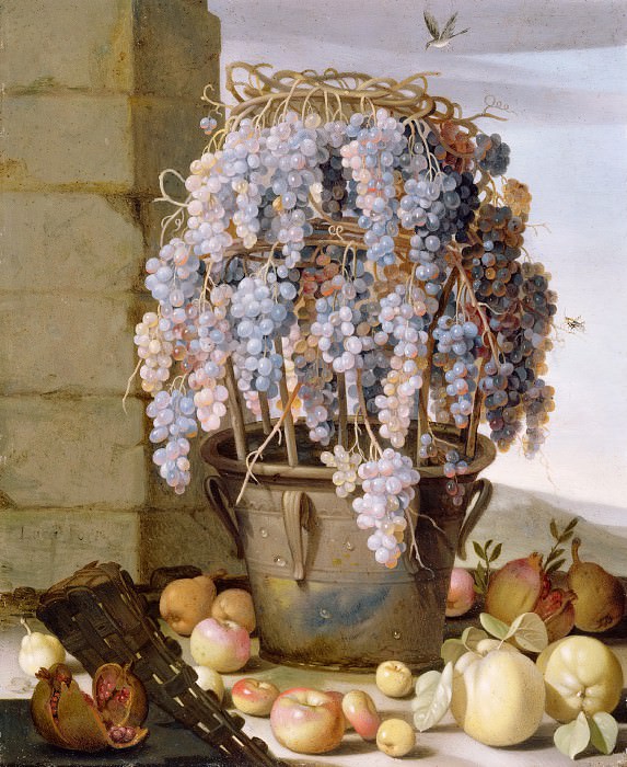 Форте Лука (Неаполь ок1615-ок1670) - Натюрморт с виноградом (31х26 см) 1630-е. Музей Гетти