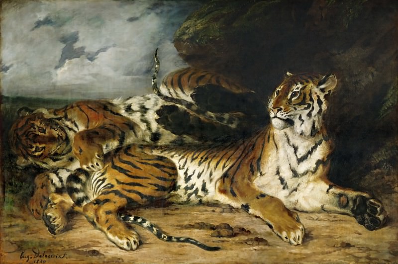 Delacroix, Eugene (1798 Charenton-Saint-Maurice - 1863 Paris) -- A young tiger playing with his mother. Part 2 Louvre
