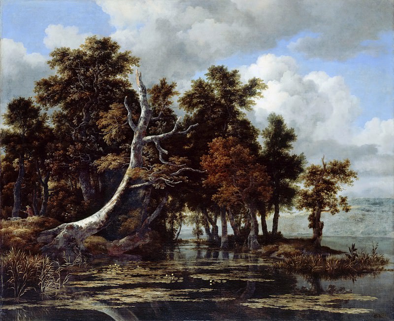 Jacob van Ruisdael (1628-29-1682) - Oaks on the lake with water lilies. Part 2