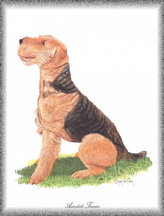 PO pdogs 68 Airedale Terrier. PO_Painted_Dogs