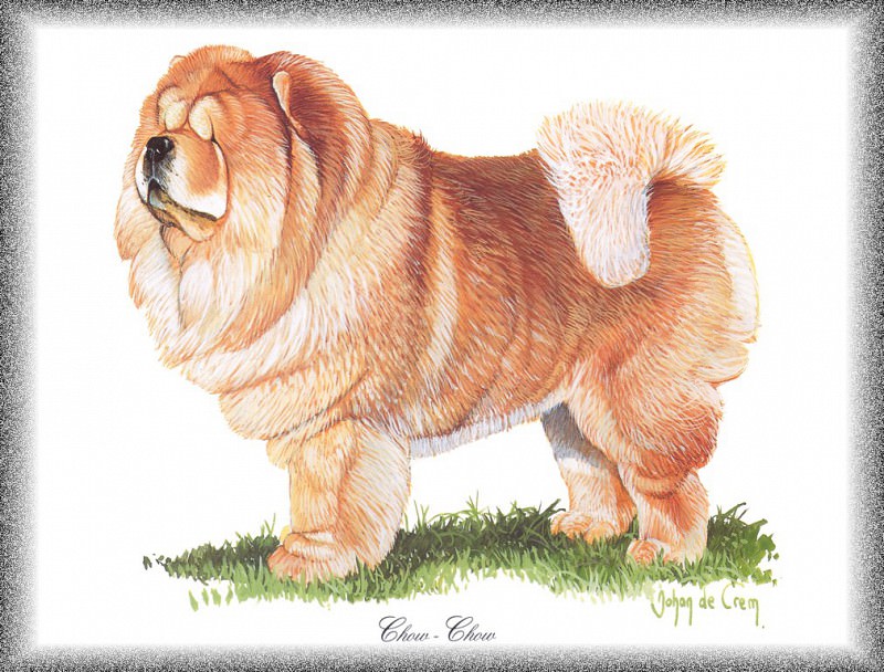 PO pdogs 31 Chow-Chow. PO_Painted_Dogs