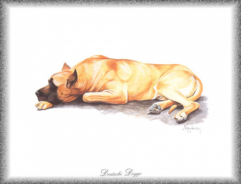PO pdogs 20 Deutsche Dogge. PO_Painted_Dogs