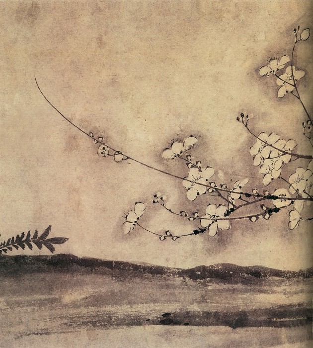 Unknown. Chinese artists of the Middle Ages (佚名 - 梅花水仙图)