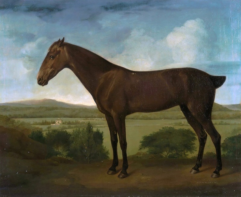 Brown Horse in a Hilly Landscape. Unknown painters