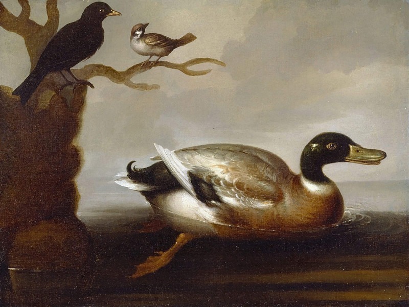 Mallard Duck and Other Birds. Unknown painters