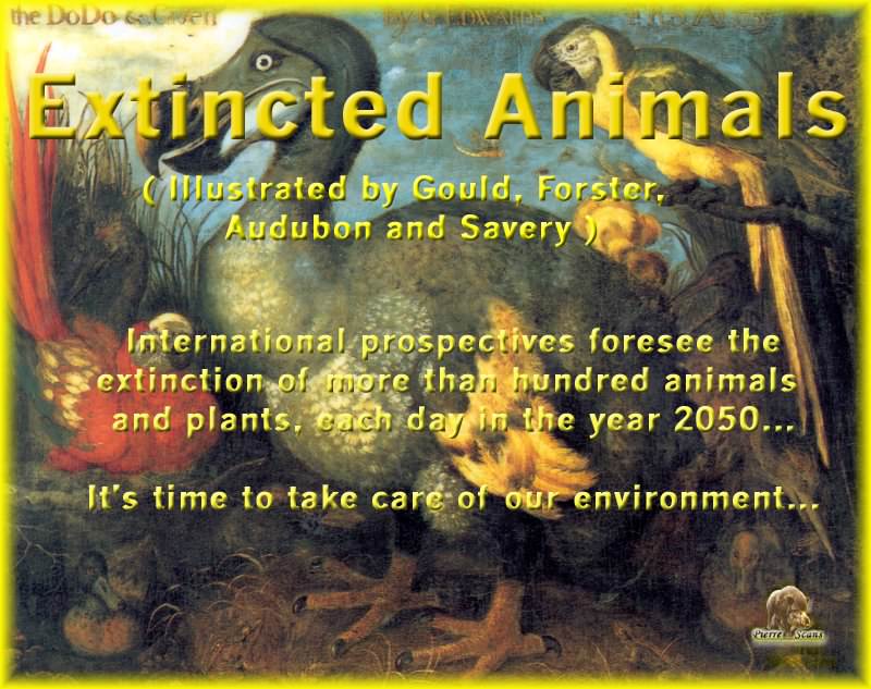 PO ExtAn 000 Introduction. PO_Extinct_Animals