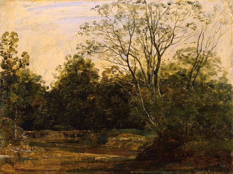 JOHANN GEORG VON DILLIS A Wooded Landscape 11639 172. часть 3 -- European art Европейская живопись