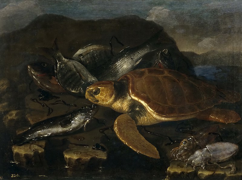 Recco, Giuseppe -- Bodegón de peces y tortuga. Part 1 Prado museum
