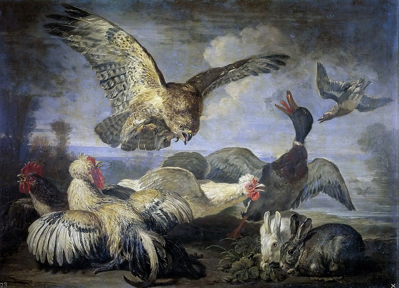 Coninck, David de -- Un milano y varias aves. Part 4 Prado Museum