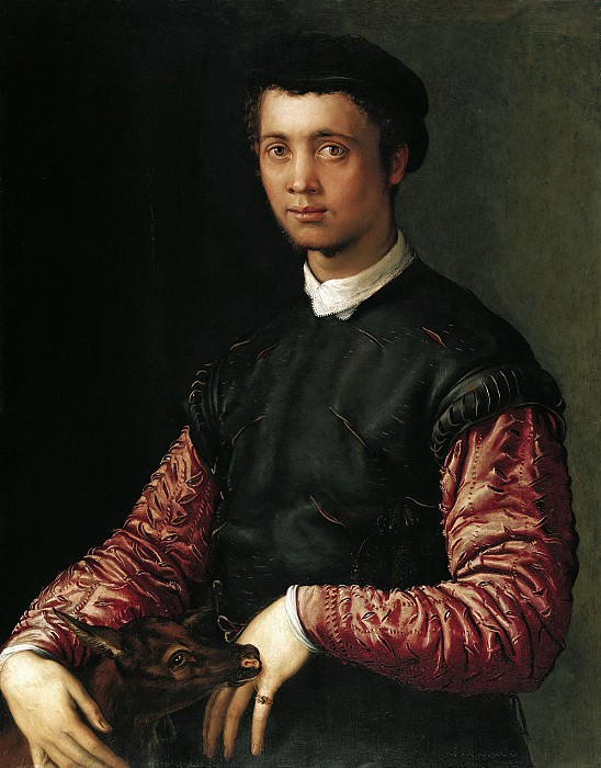 Salviati (Francesco de Rossi) - Portrait of a young man. Liechtenstein Museum (Vienna)